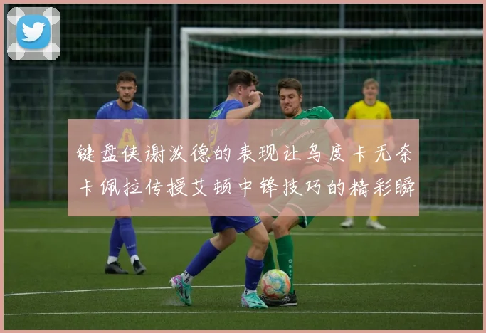 键盘侠谢泼德的表现让乌度卡无奈卡佩拉传授艾顿中锋技巧的精彩瞬间